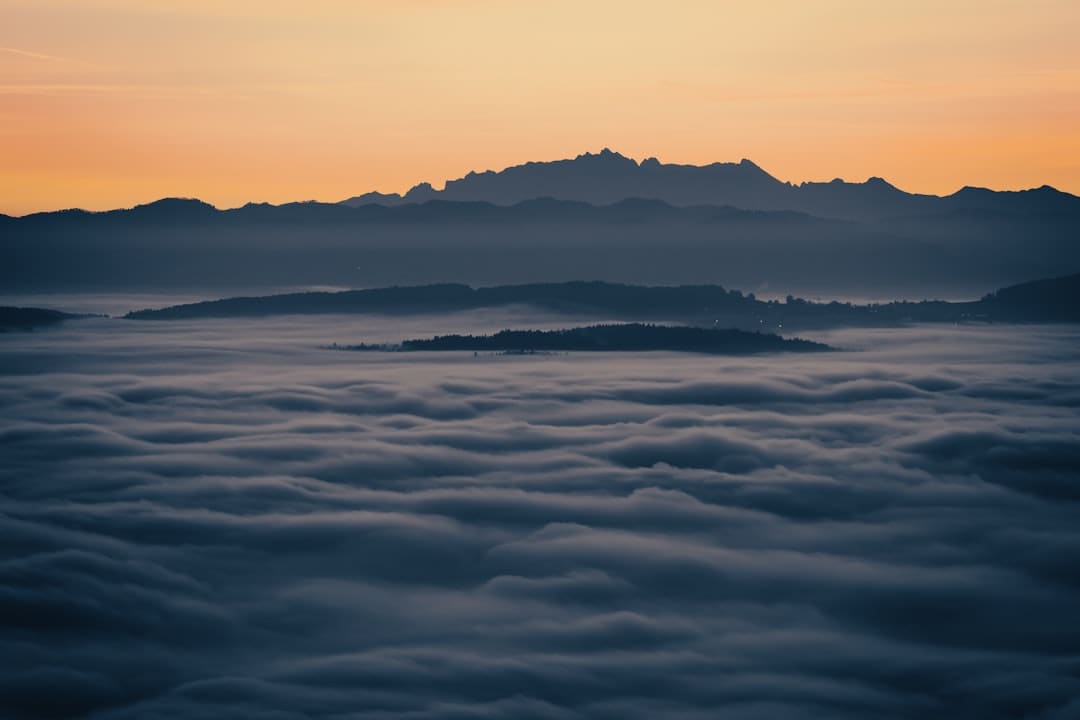 诏安梅岭：七夕献血传递爱 志愿服务暖人心